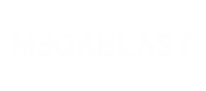Logo White